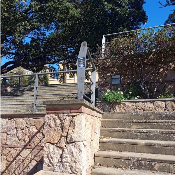 Outdoor stone stairs with metal railing and green plants