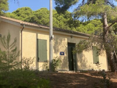 Casa gialla con persiane verdi immersa in un bosco di pini