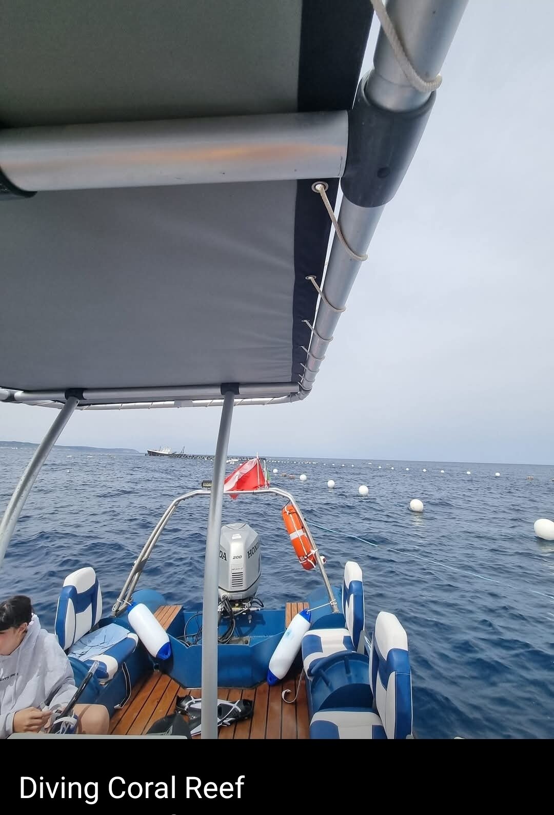 Img 6996e96edf5330 55539102