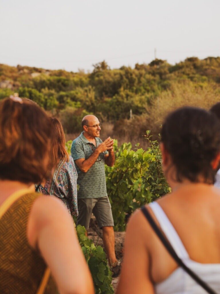 Guide explains vineyard cultivation to a group of people outdoors.