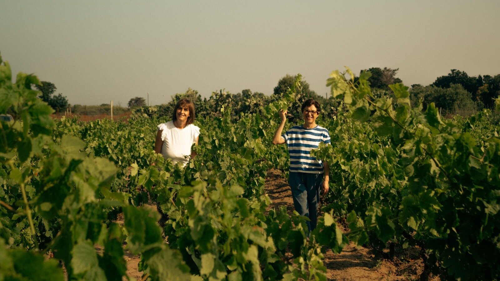 Two smiling women standing among grapevines in a sunny vineyard.