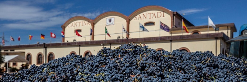 Autoctoni: Visita e Degustazione alla Cantina Santadi