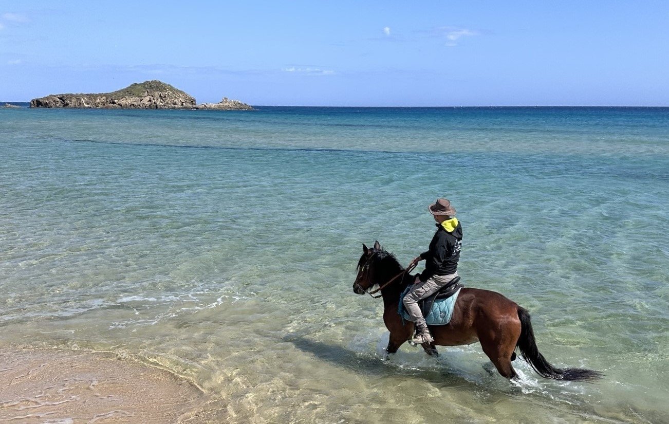 Person riding a horse through clear water near the beach.