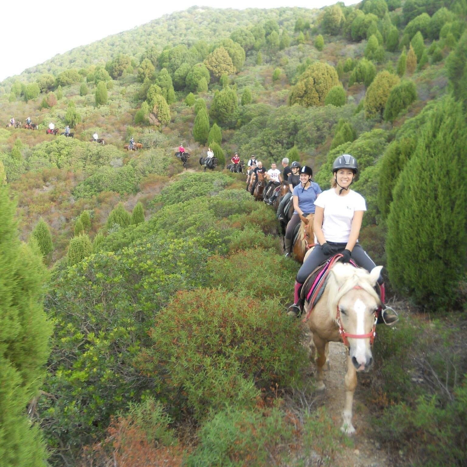 Img 69b65d407de038 98124242