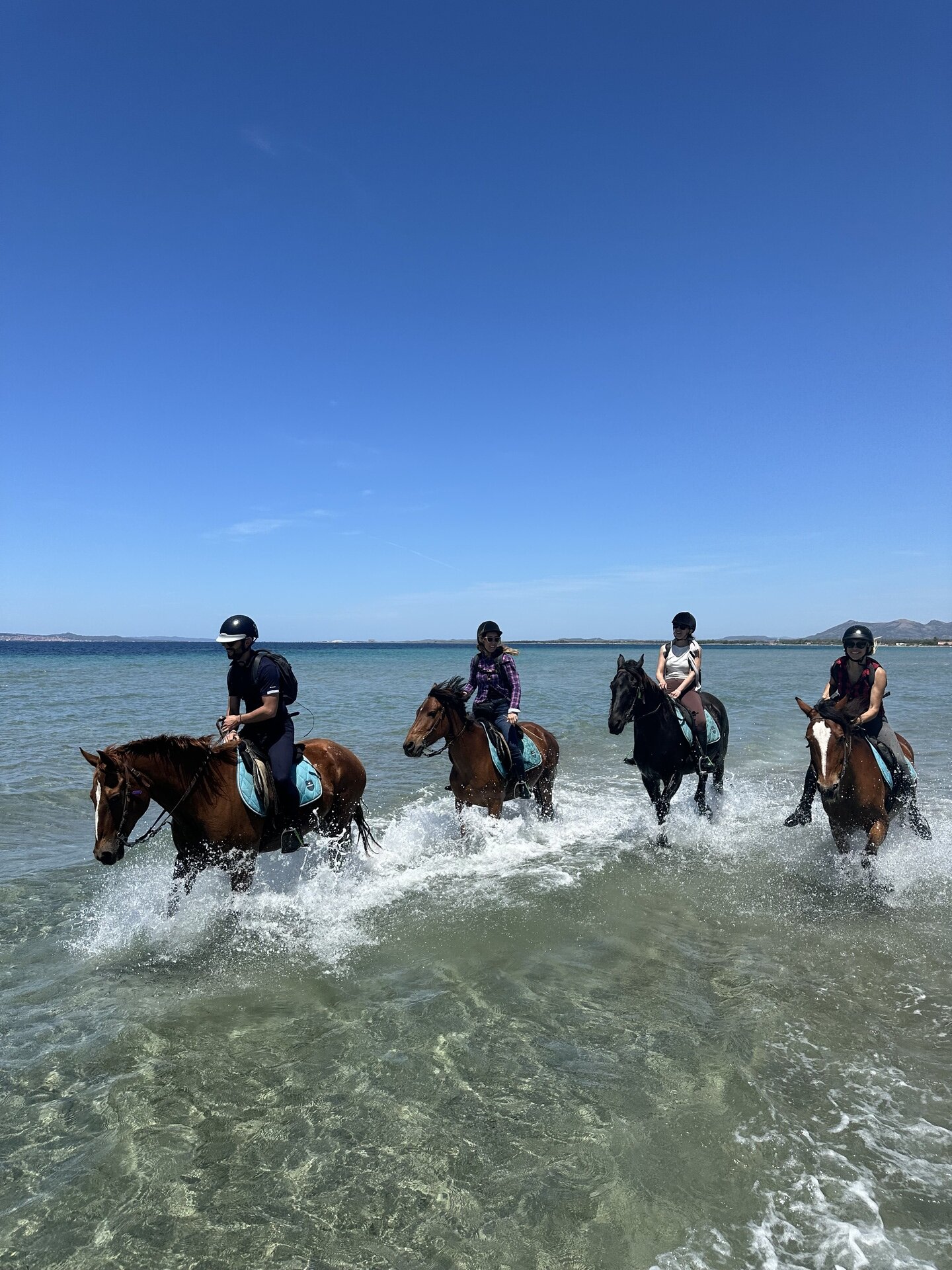 Img 69b65d40a2dc99 51661808