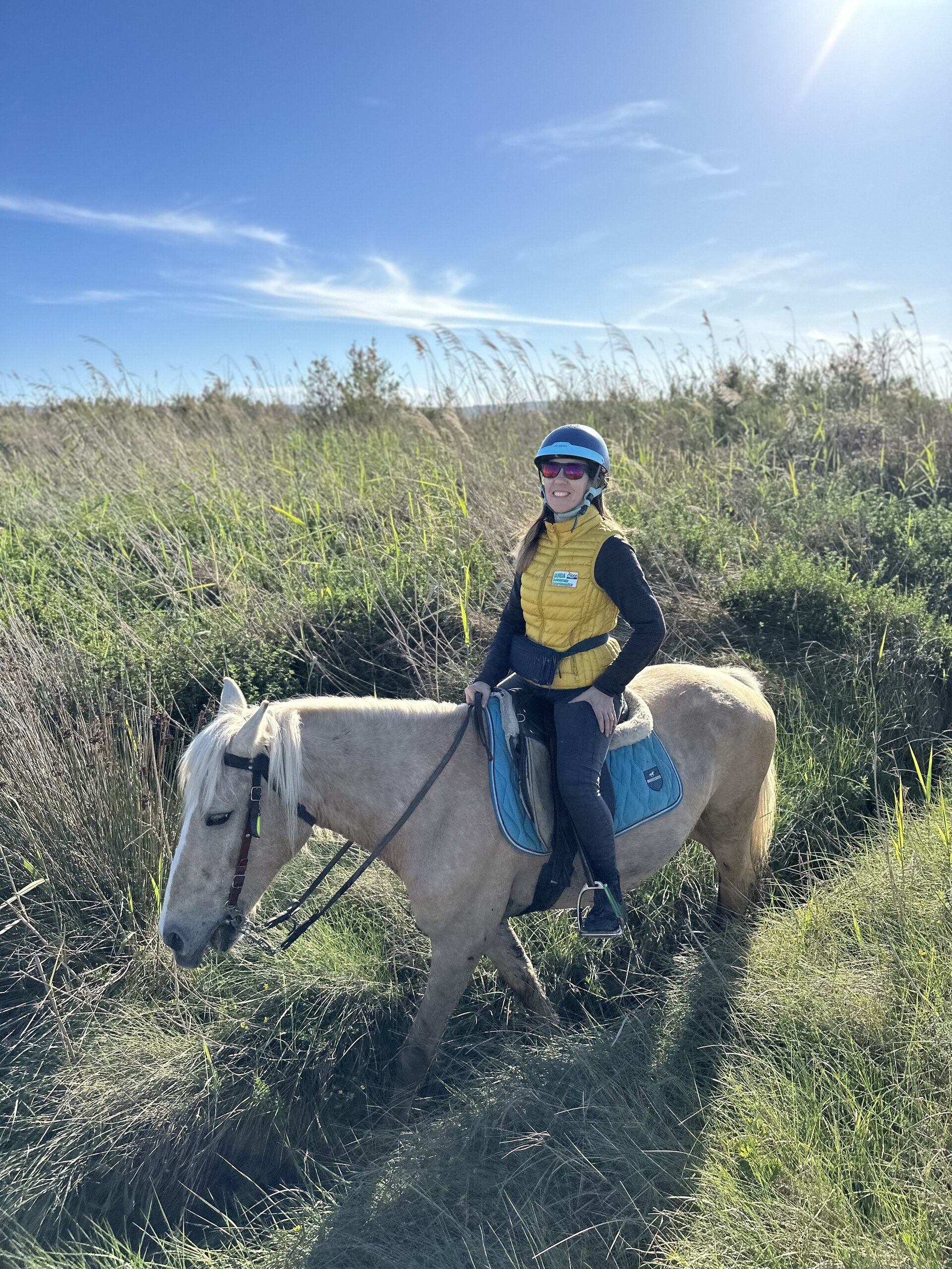 Img 69b65d40b9dc43 45370408