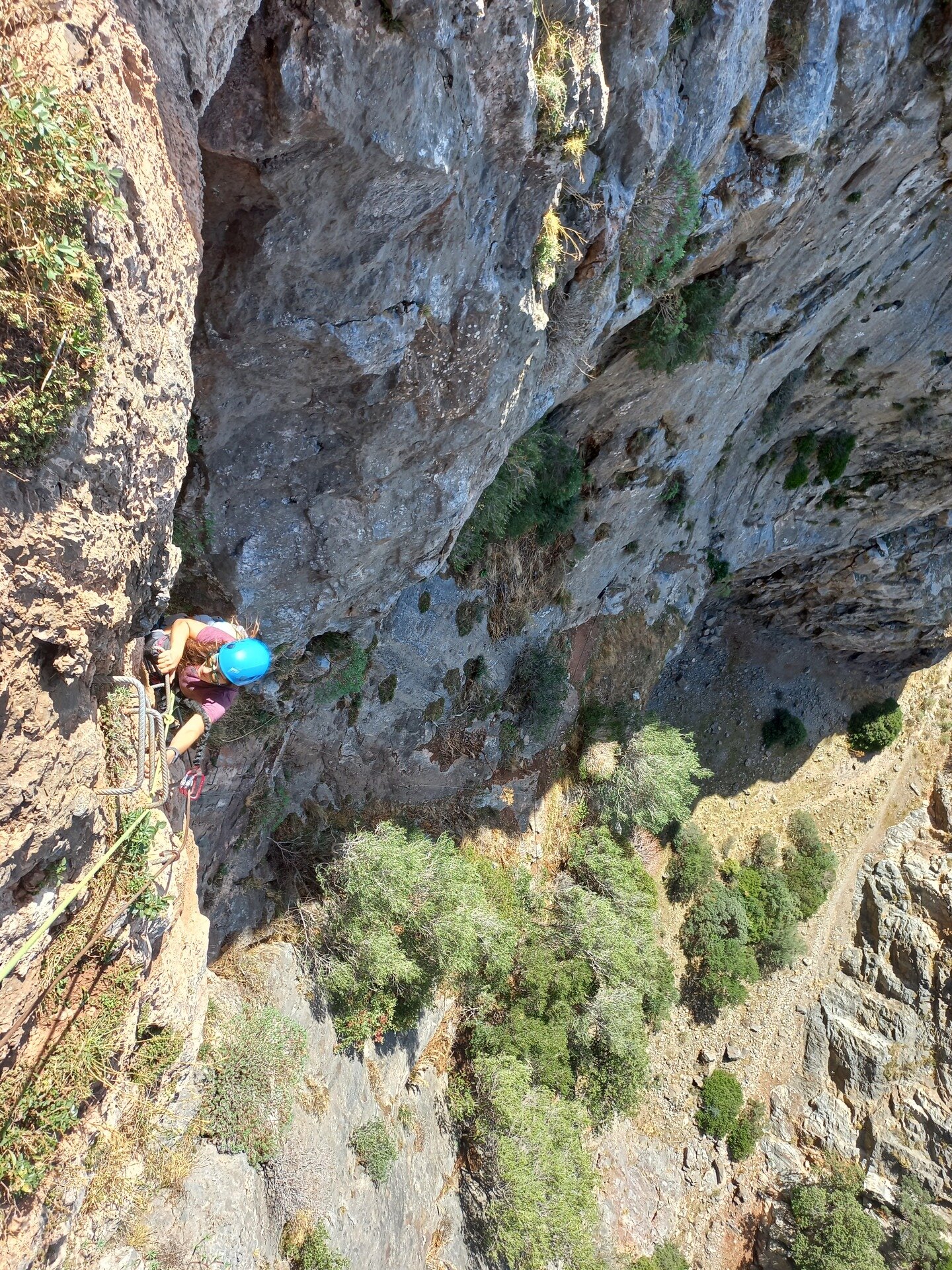 Img 696e42fbc38684 21568085