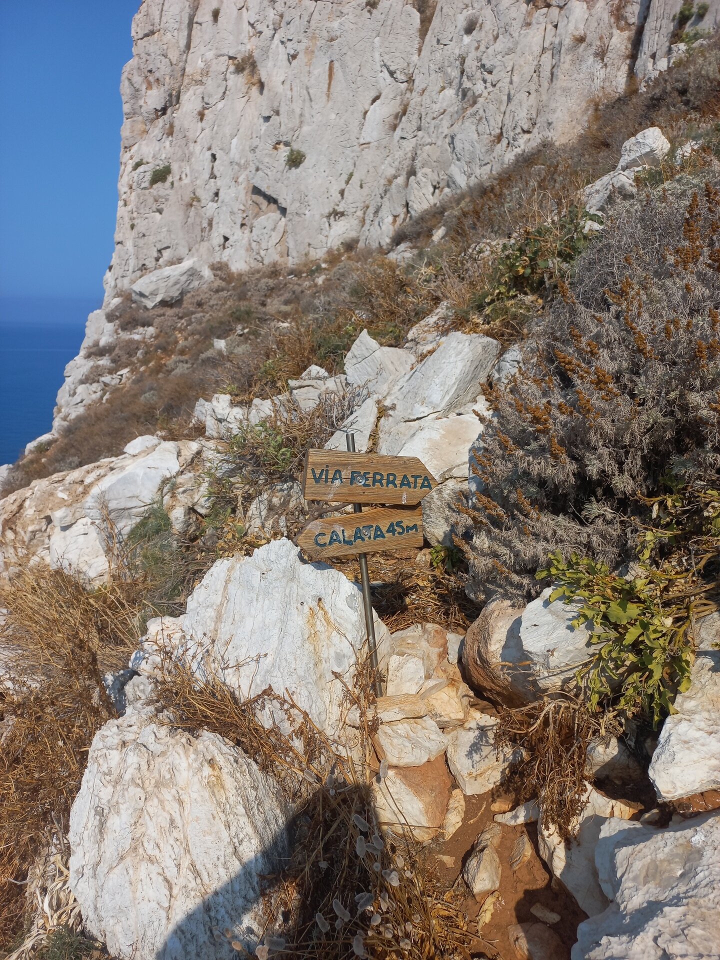 Img 696e9be9be5ba9 27548708