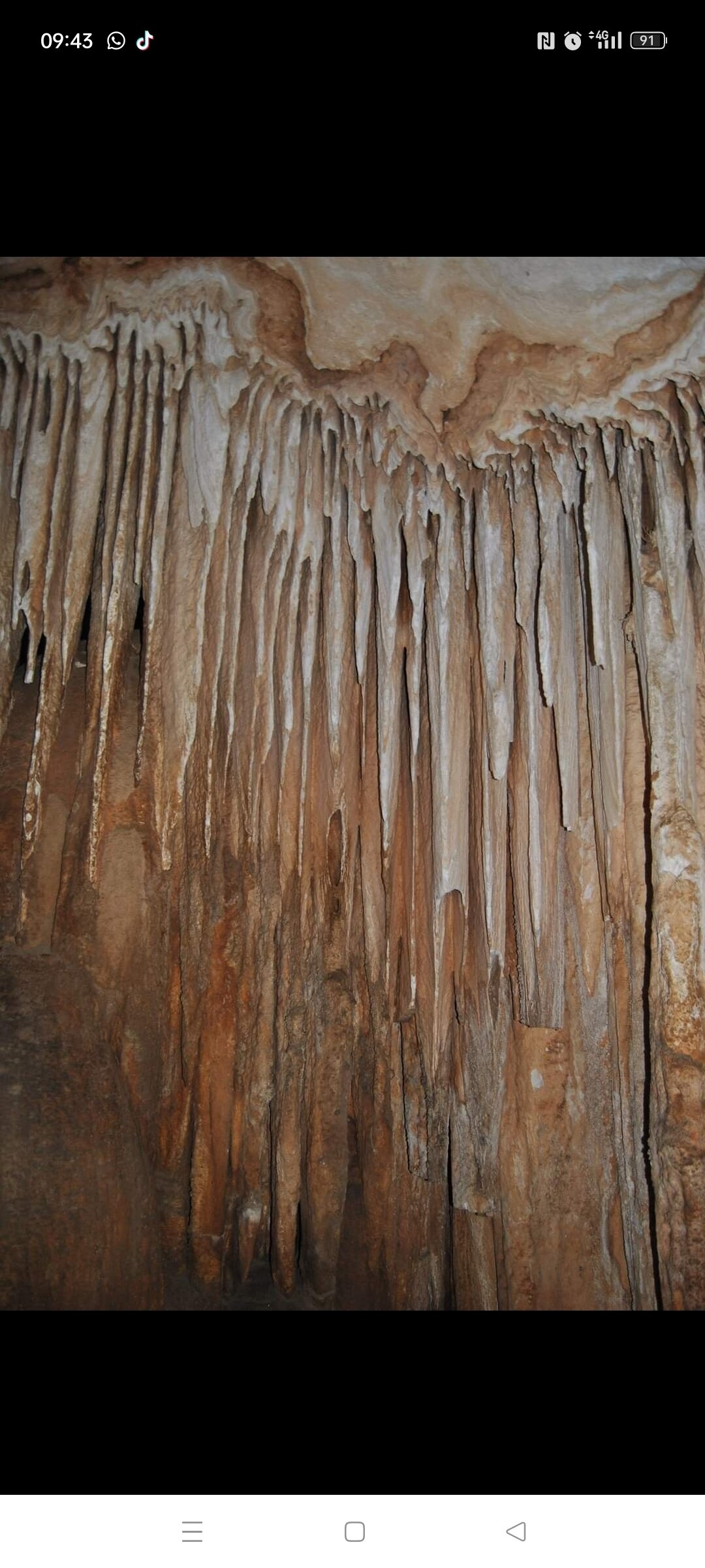 Img 69697247d3c0a0 77675785