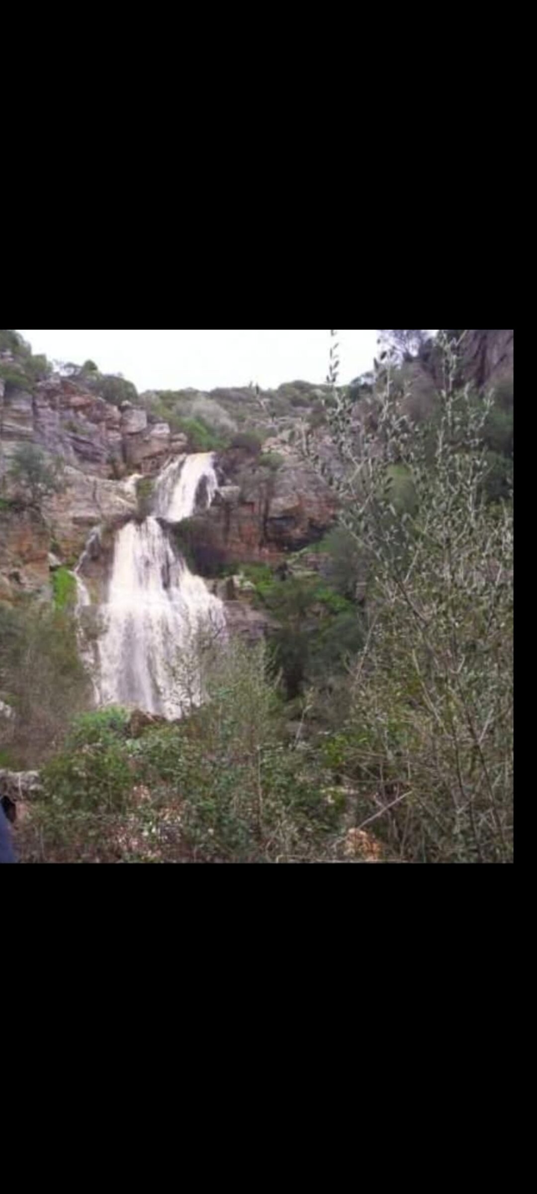 Img 696972485ccb50 44655198