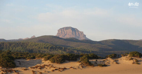 Img 69838637c21d55 50192075