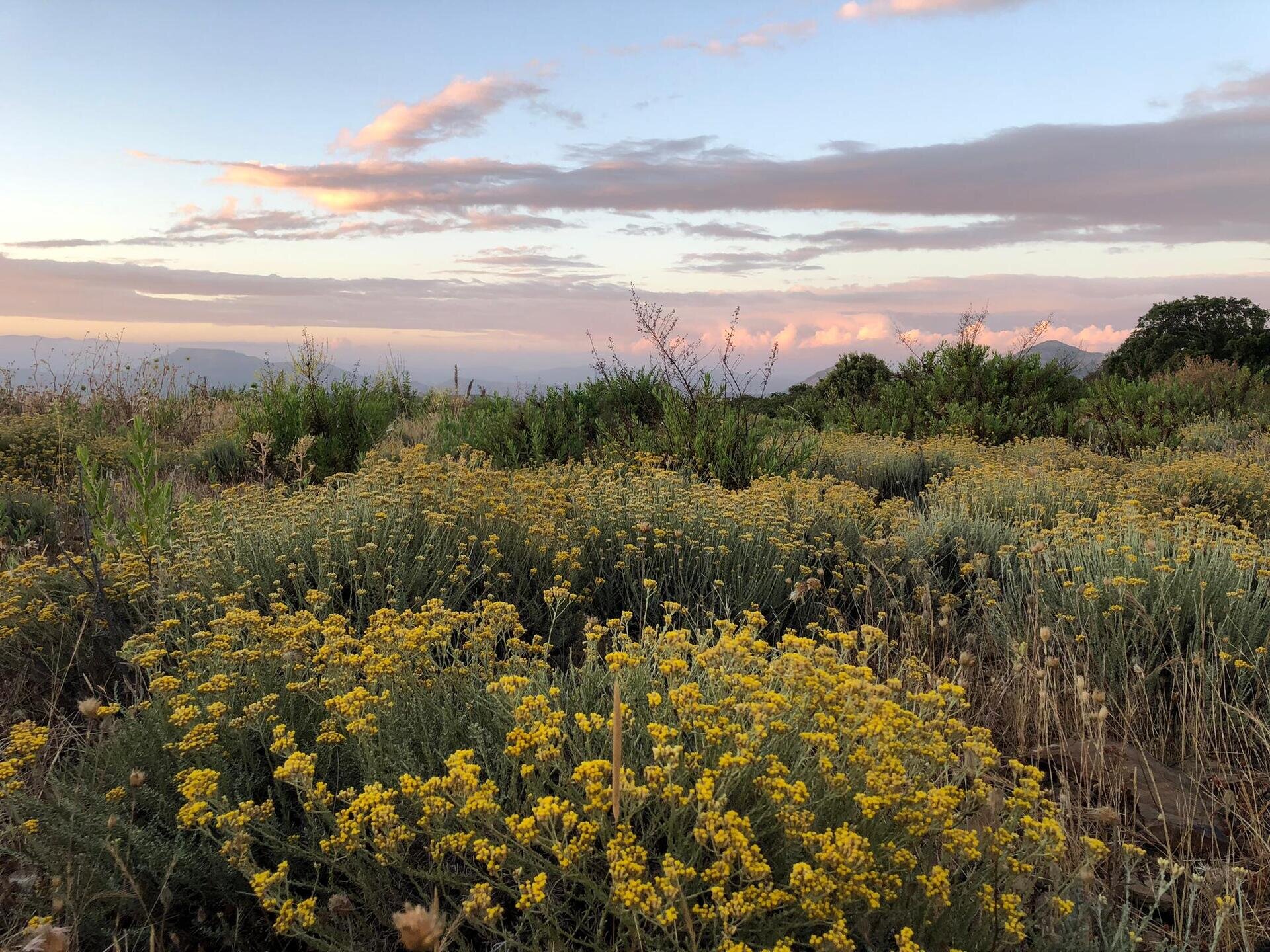 Img 69694b41b71d31 88878460