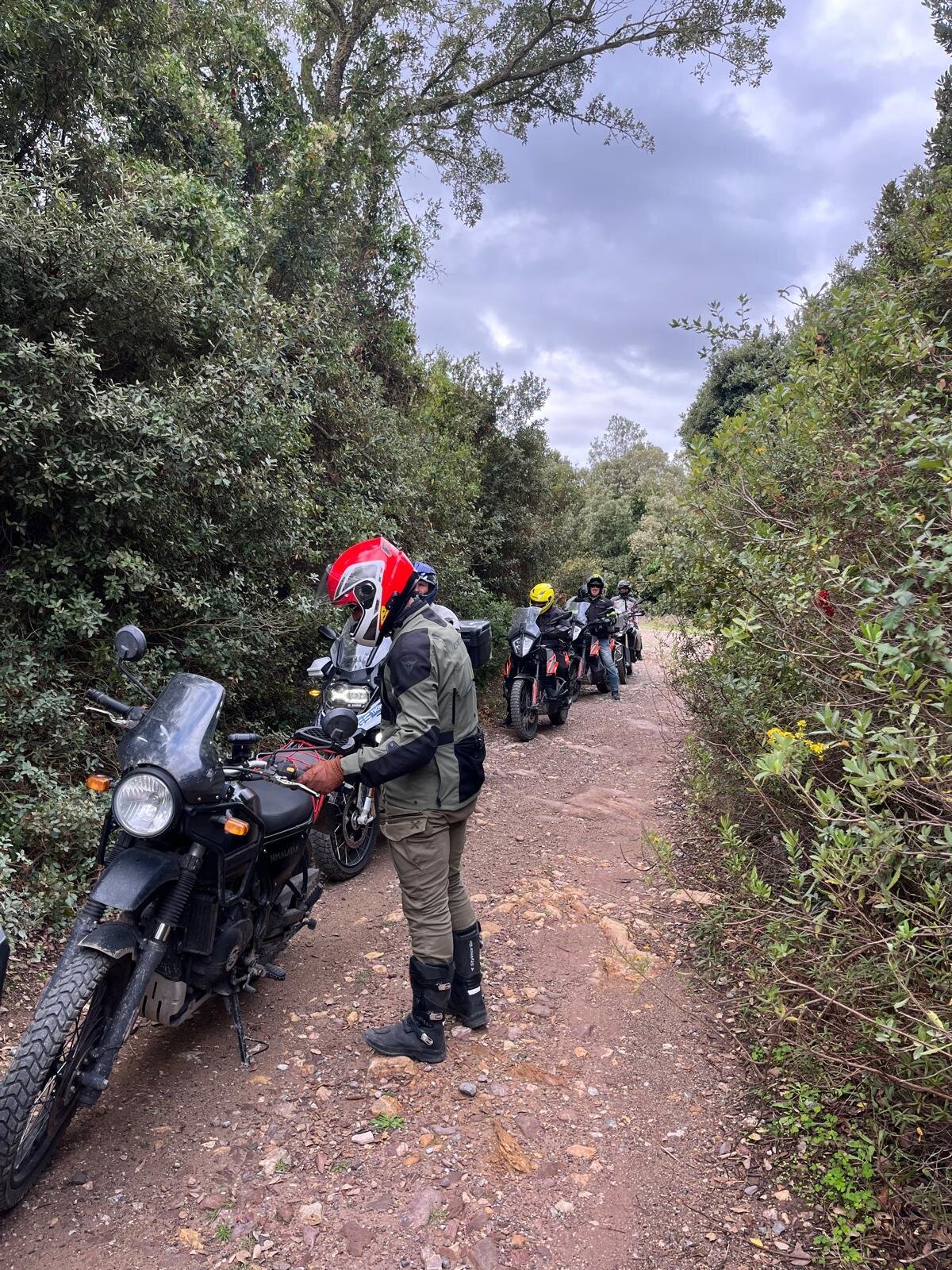 Img 6977b9b825cf57 12027817