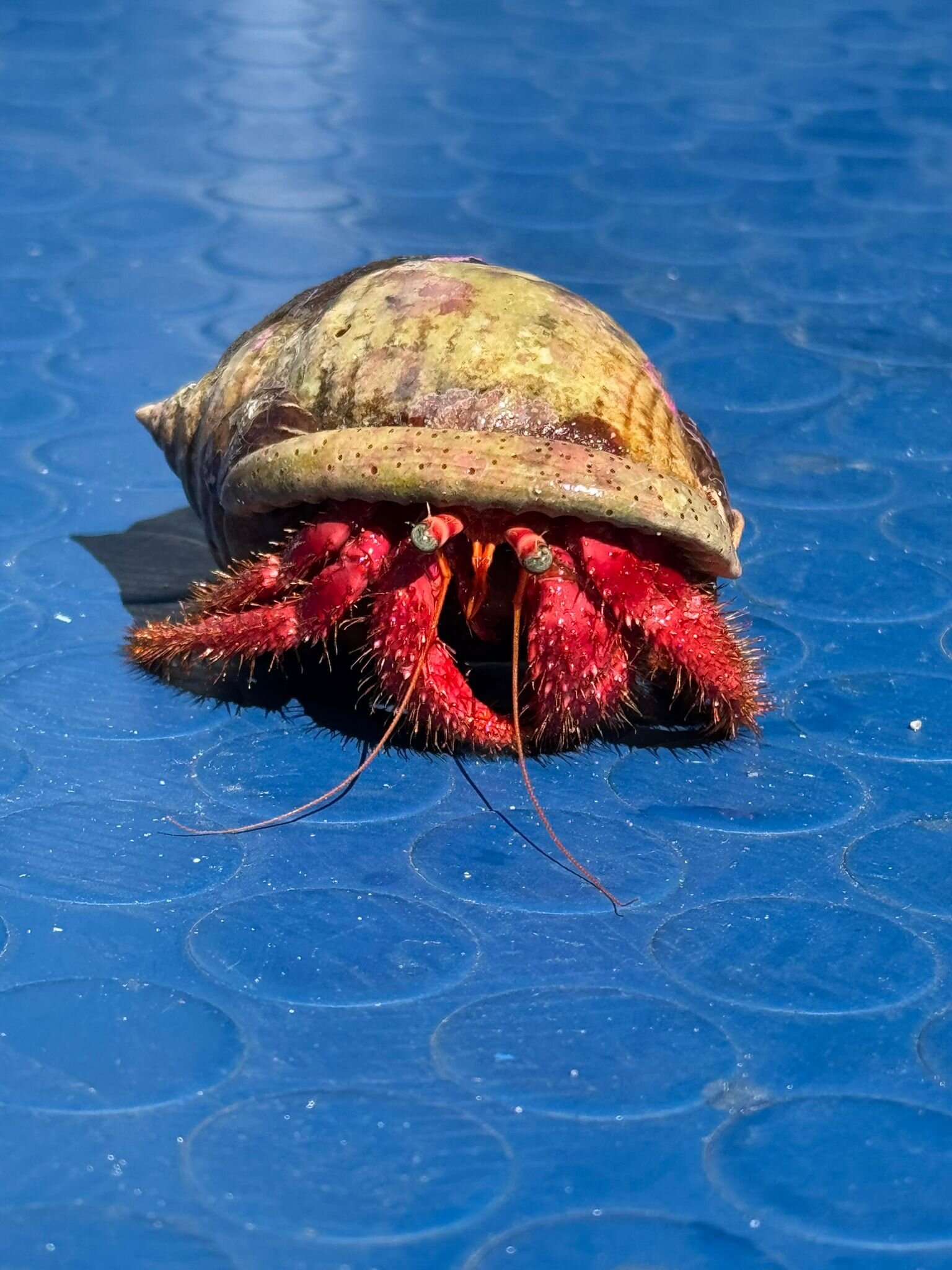 Img 697b9fe1209613 19779236