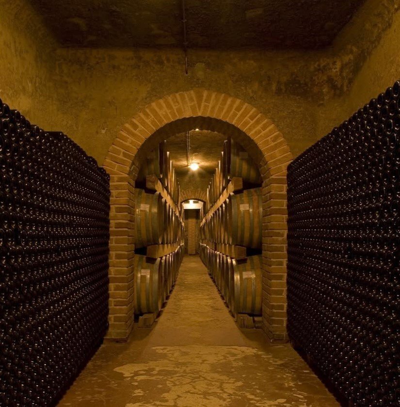 Wine cellar with bottles and barrels lined up along the corridor.