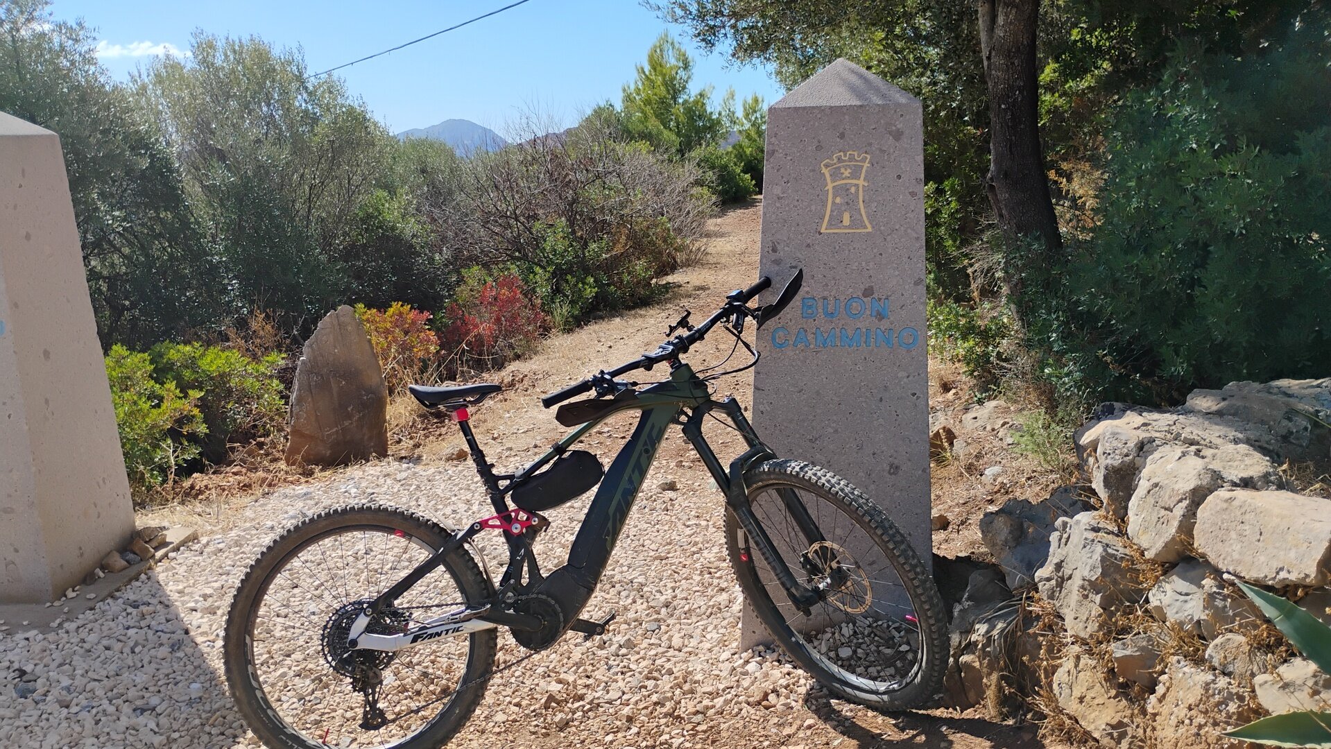 Img 696b5f7603e0a9 35634247