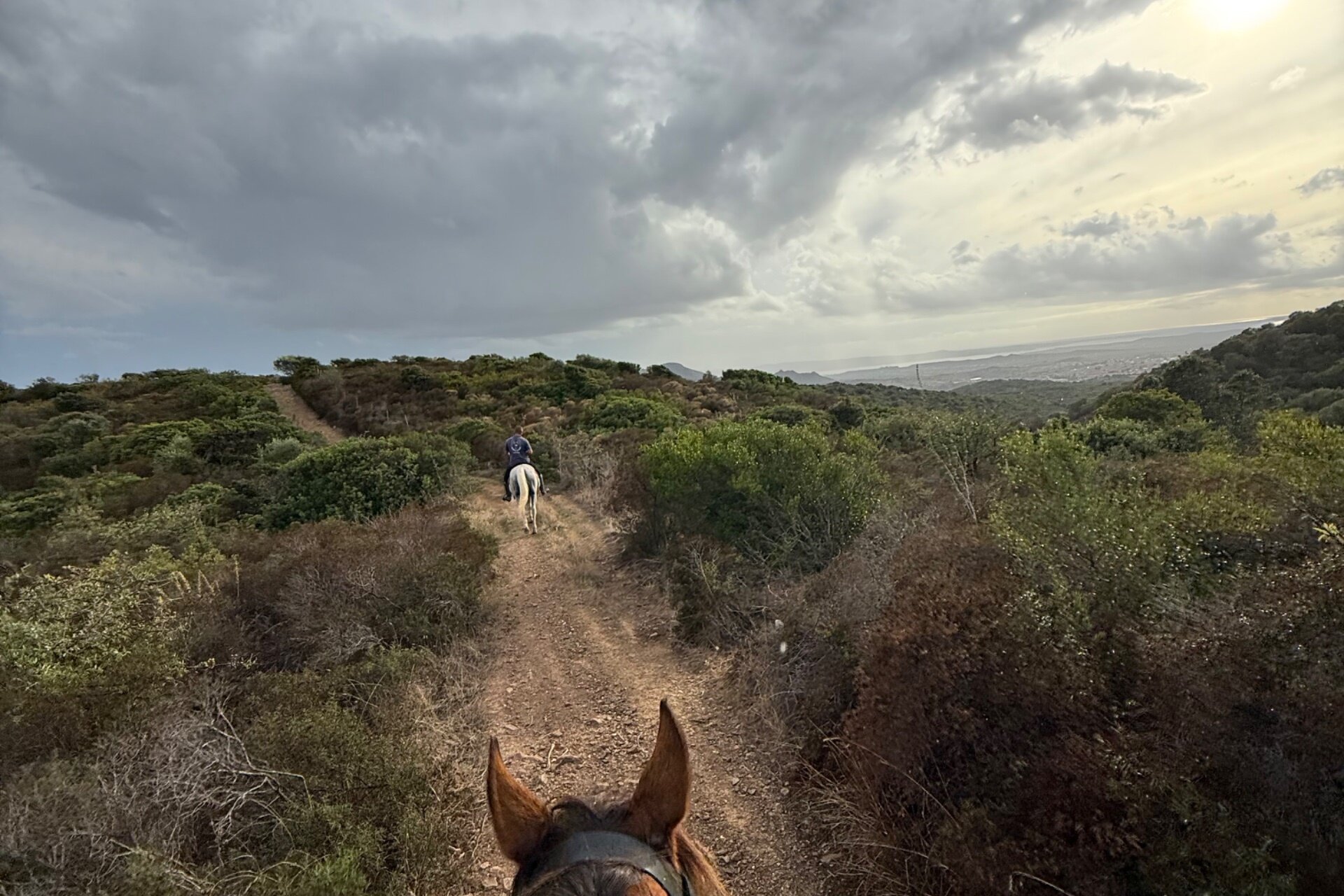 Scopri La Bellezza Selvaggia della Sardegna a Cavallo