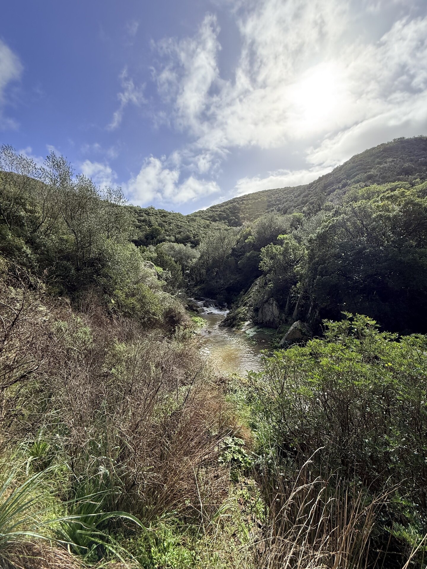 Img 6981bf50aac4b7 77342110