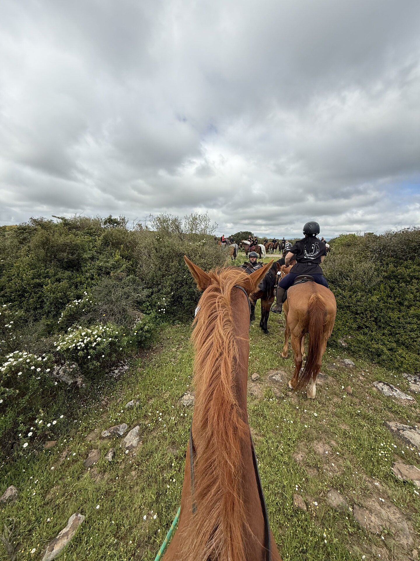 Img 6981bf51459029 98851518