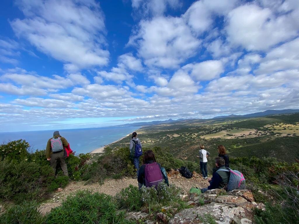 Img 696f686b764ca1 60439752