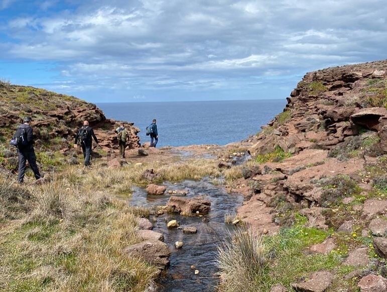 Img 696f686ba1c7a6 31826441