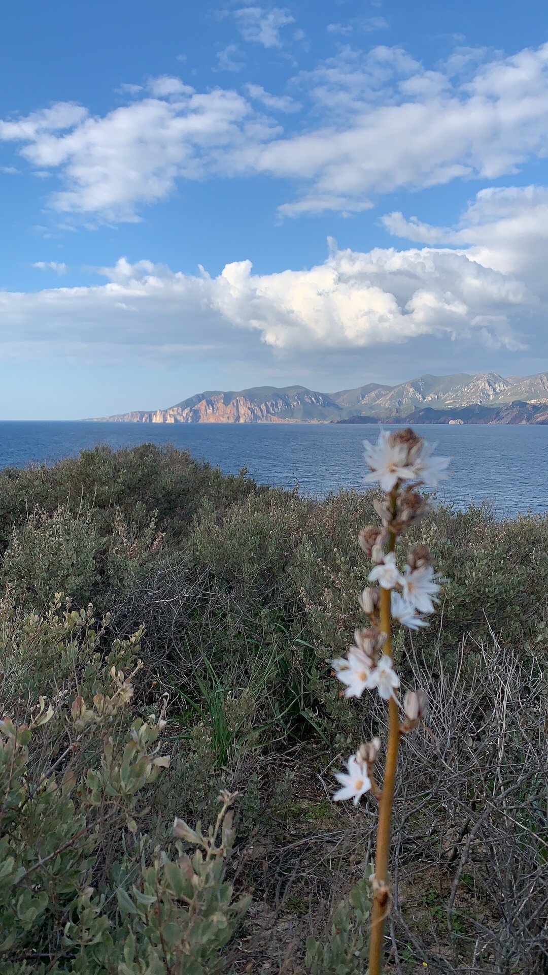 Img 696f686bcf6f45 28326036