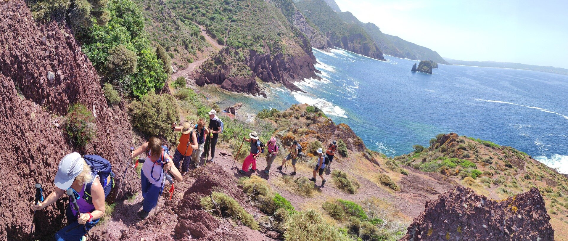 Img 699a03179c1b60 72280463