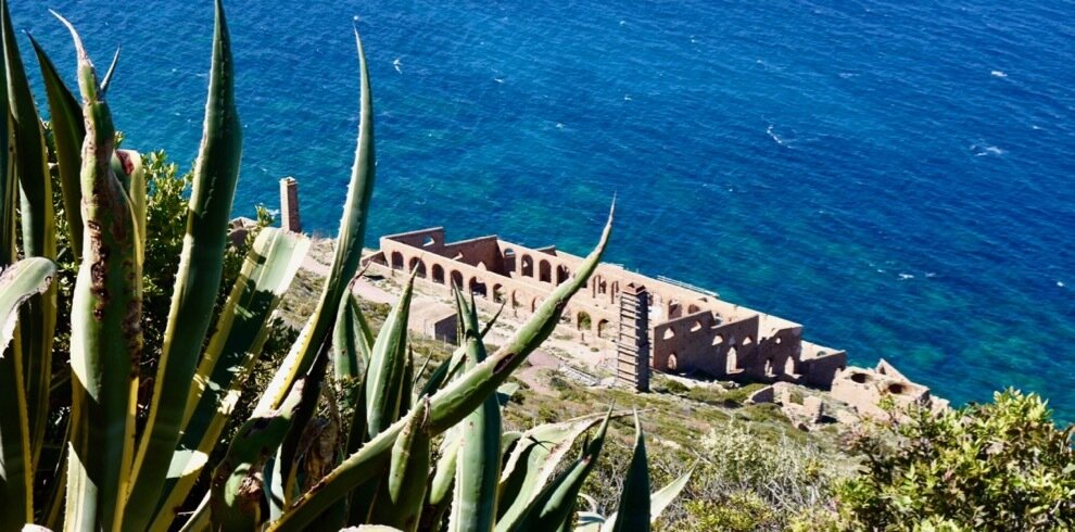 Ruins of historic building near the sea with succulent plants in foreground