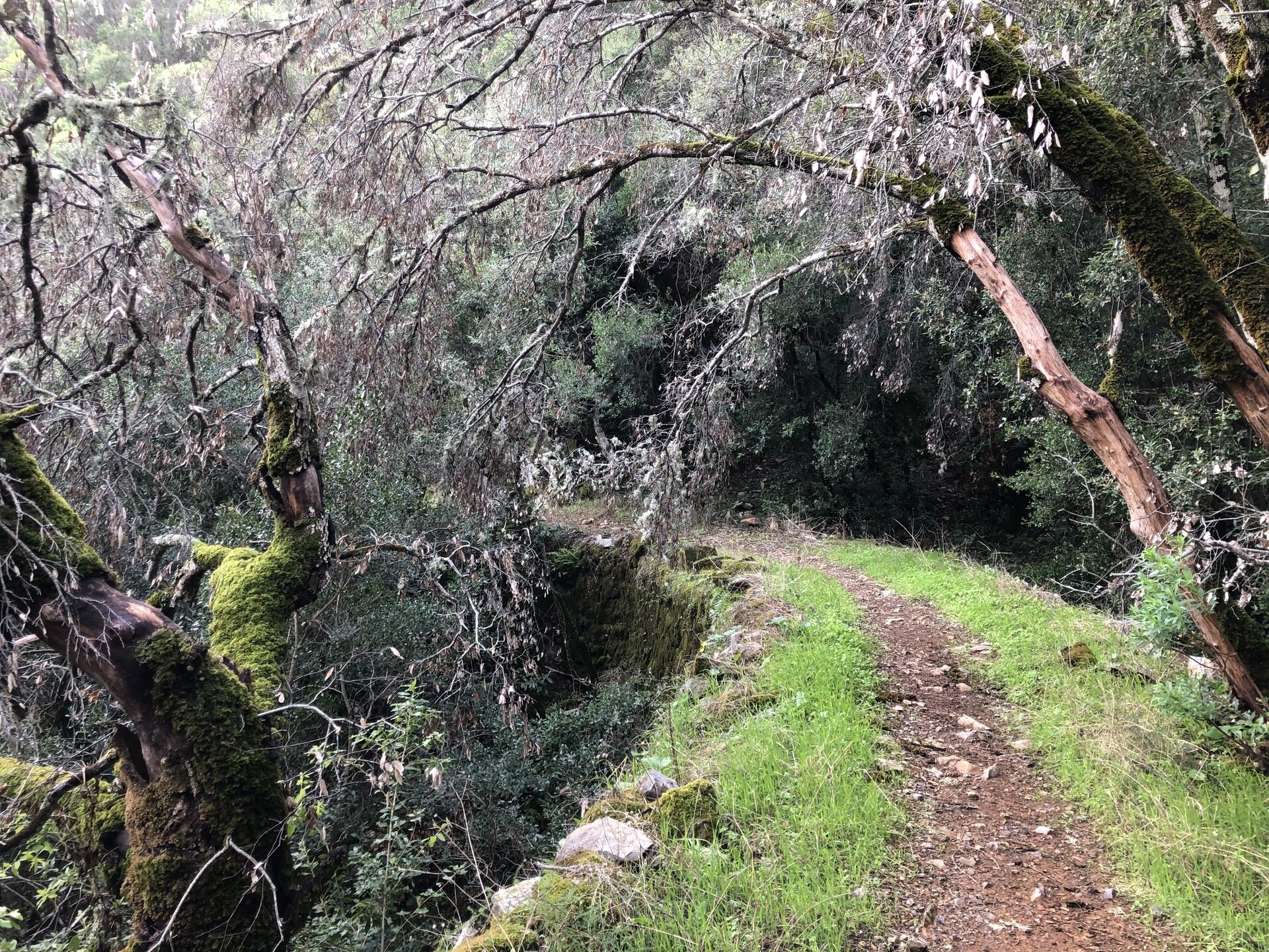 Img 696faeceb7fcb1 23543261