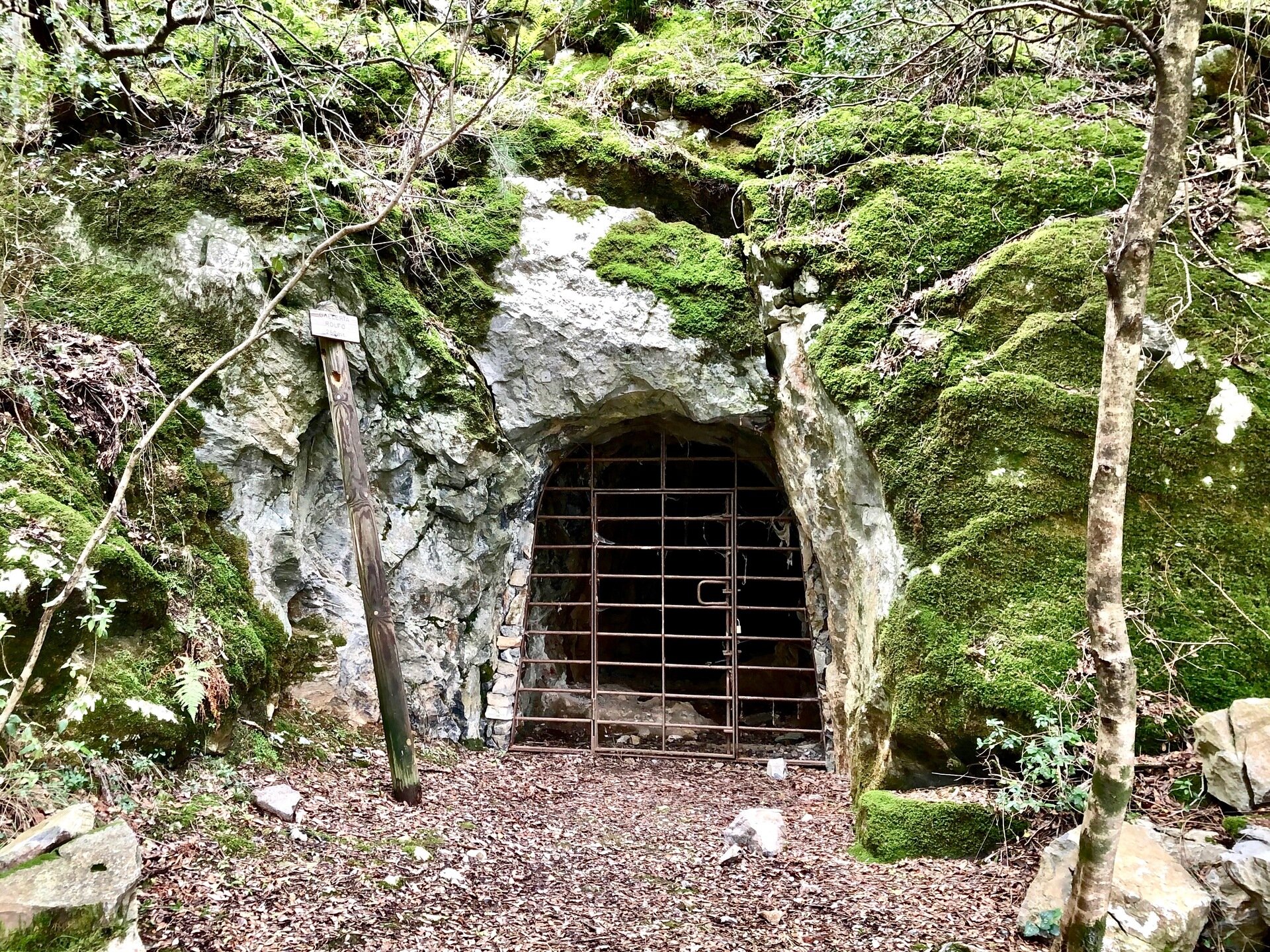 Img 696faecf3e38f2 74895377