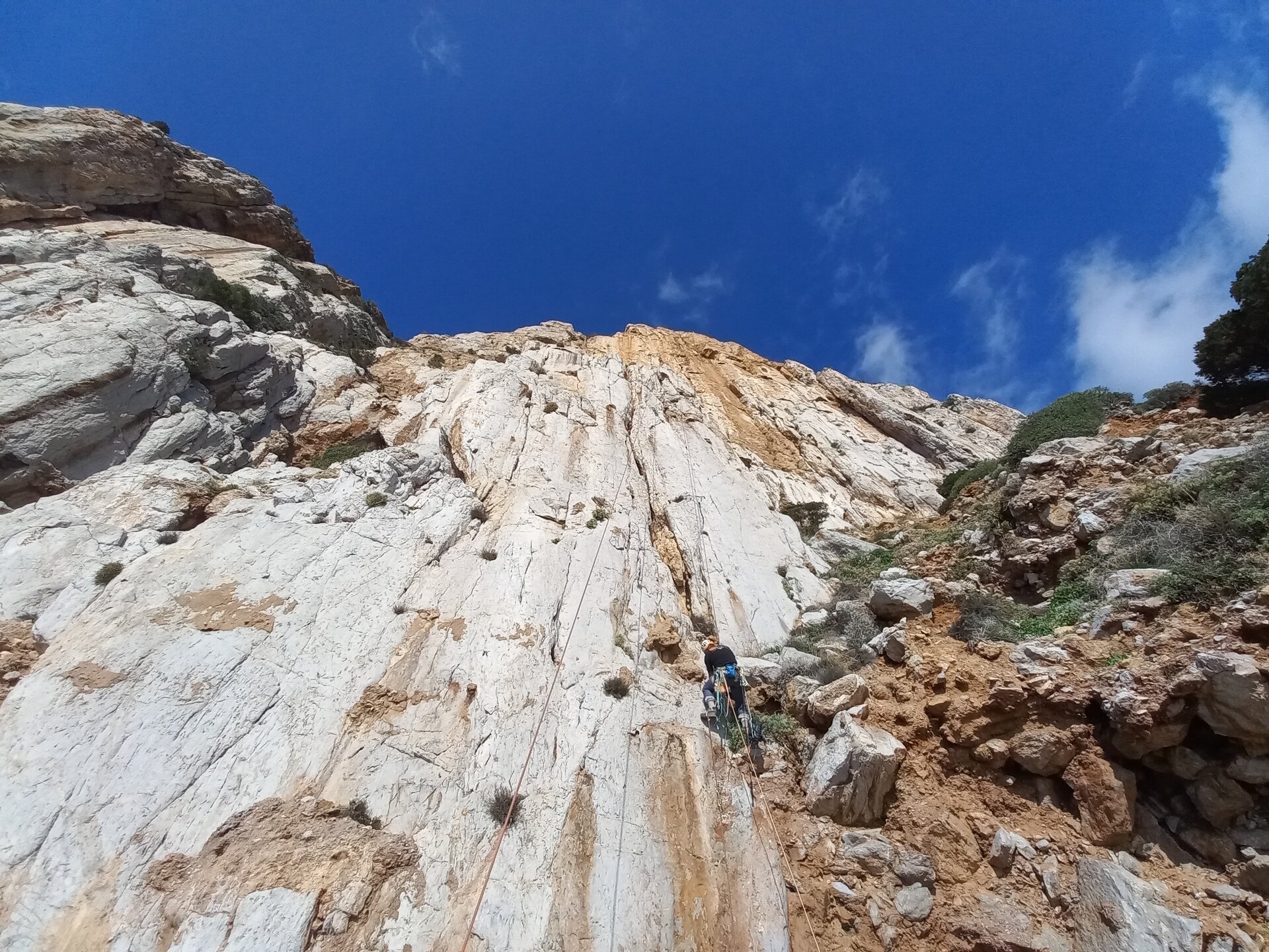 Img 696f53559474a4 58008769