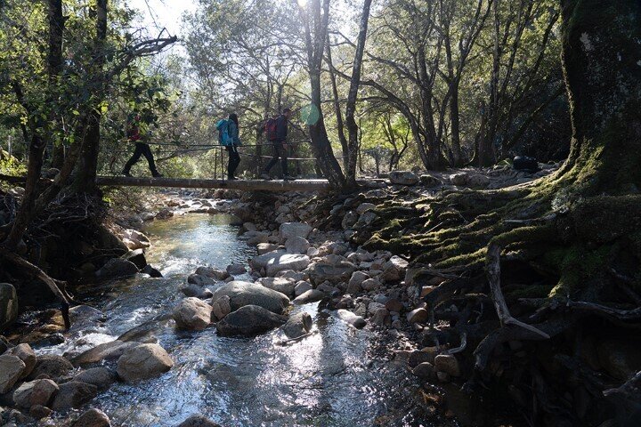 Tappa 03 - Variante (Passaggio per la foresta di Monti Mannu)
