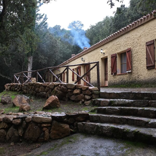 Rustic house with smoke from chimney surrounded by green nature