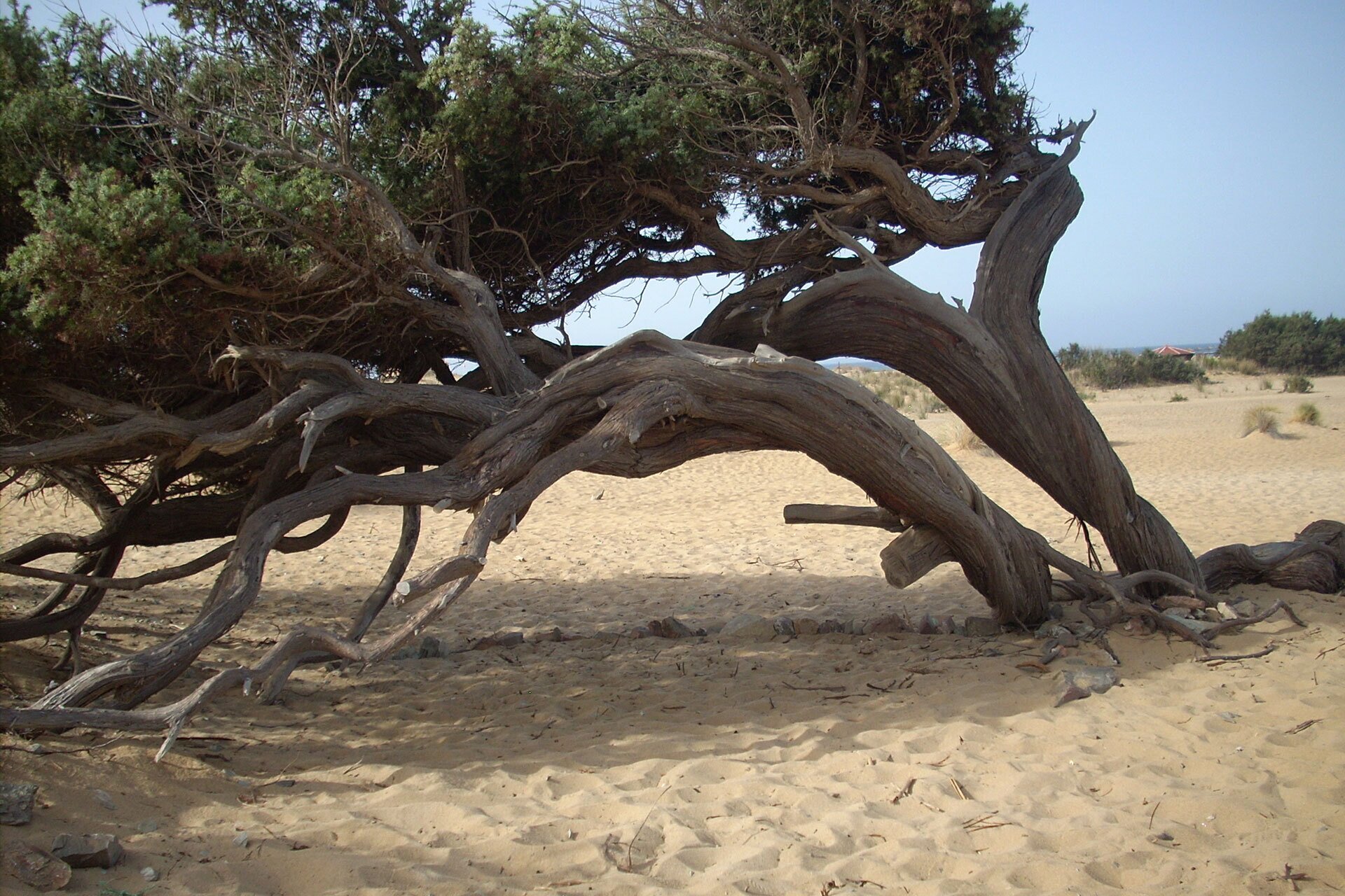 Tappa 05 – Da Portixeddu a Pitzinurri (Variante)