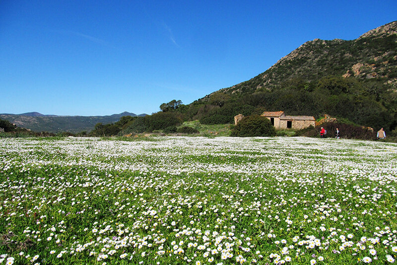 Tappa 07 – Da Montevecchio a Arbus
