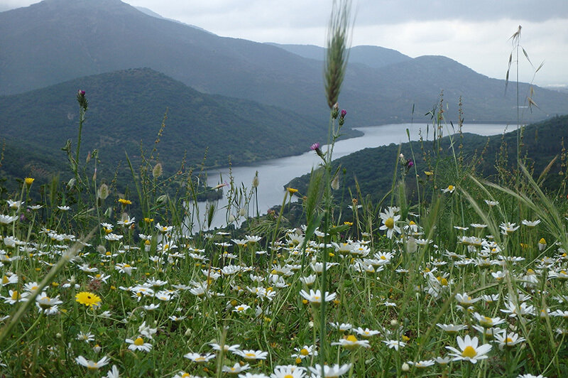 Tappa 10 – Da Villacidro a Monti Mannu