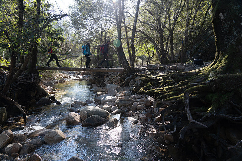 Tappa 11 - Da Monti Mannu a Arenas