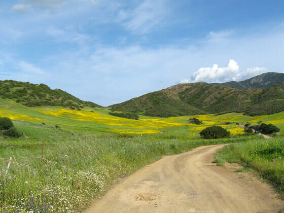 Tappa 15+16 - da Domusnovas-Musei a Rosas (Variante corta)