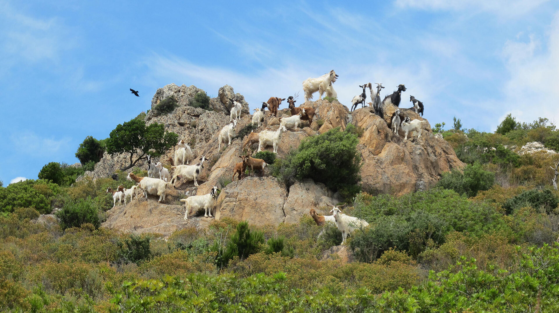Tappa 16 - da Orbai a Rosas