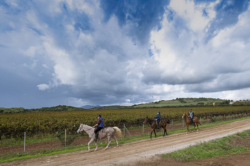 Tappa 19 - da Santadi a Is Zuddas