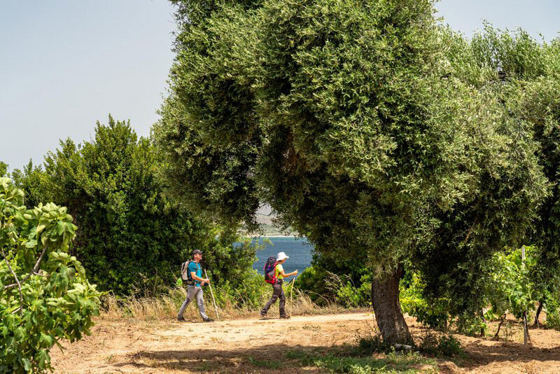 Tappa 22 - da Candiani a Tratalias