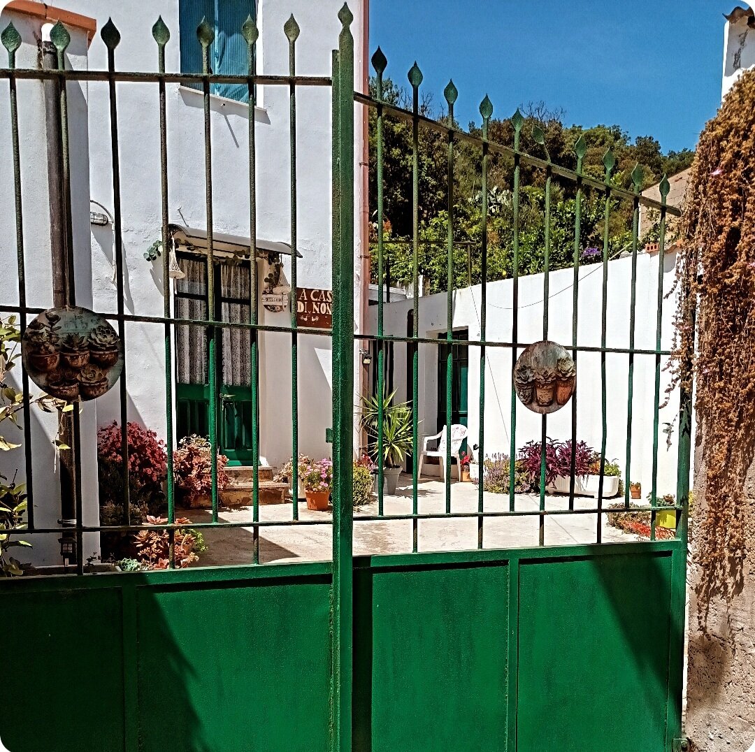 Img 6977525fbfef96 16304519