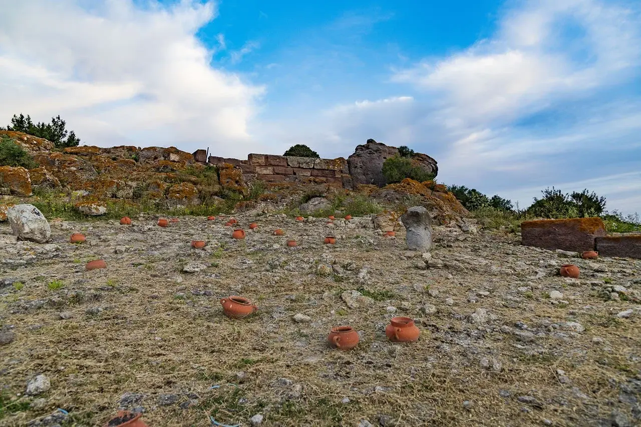 Cooperativa Archeotur Impresa Sociale