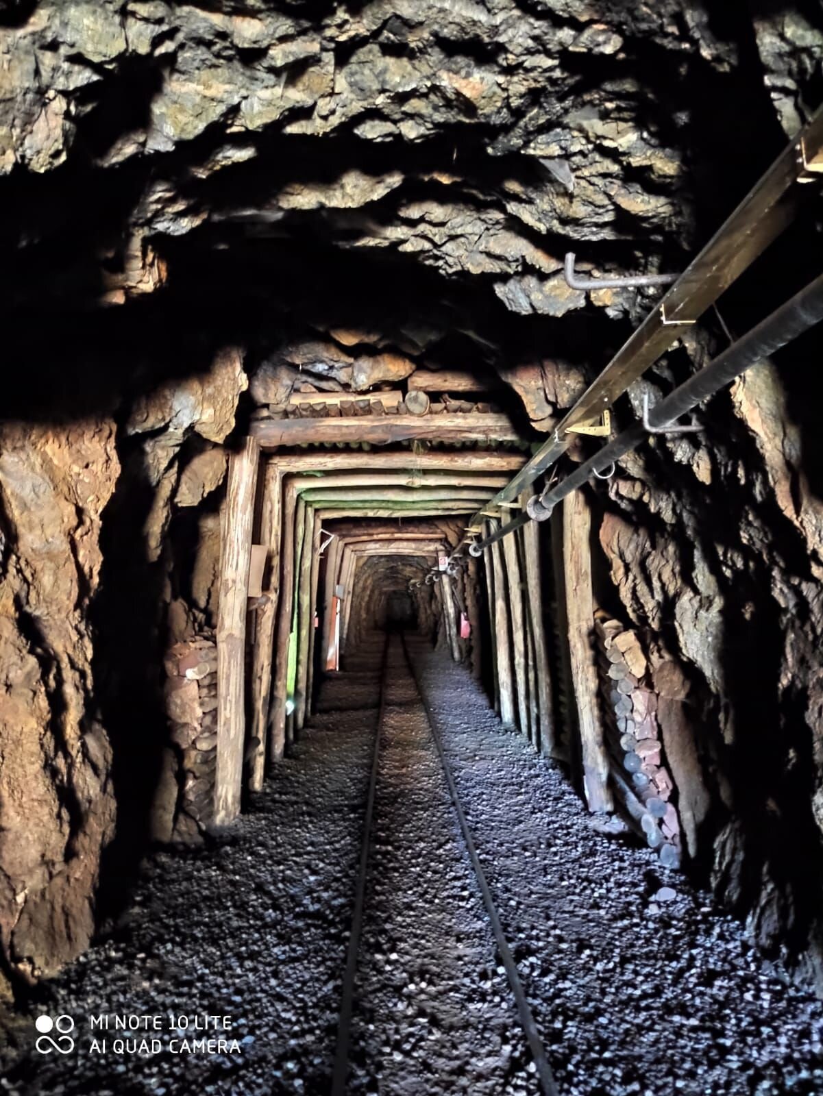 Img 69a95d5b7f0fd0 96884093