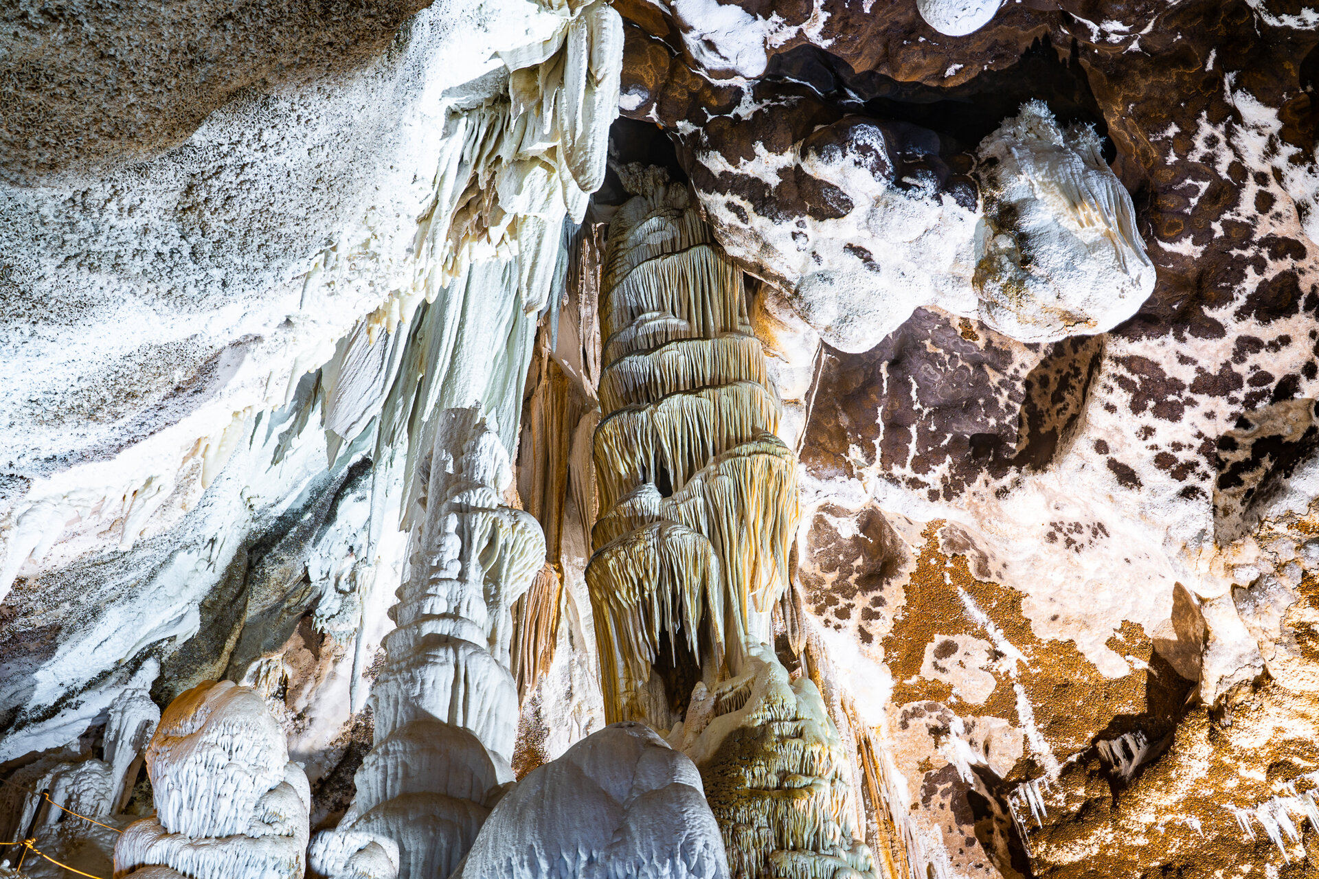 Img 69749f53ee7019 49600733