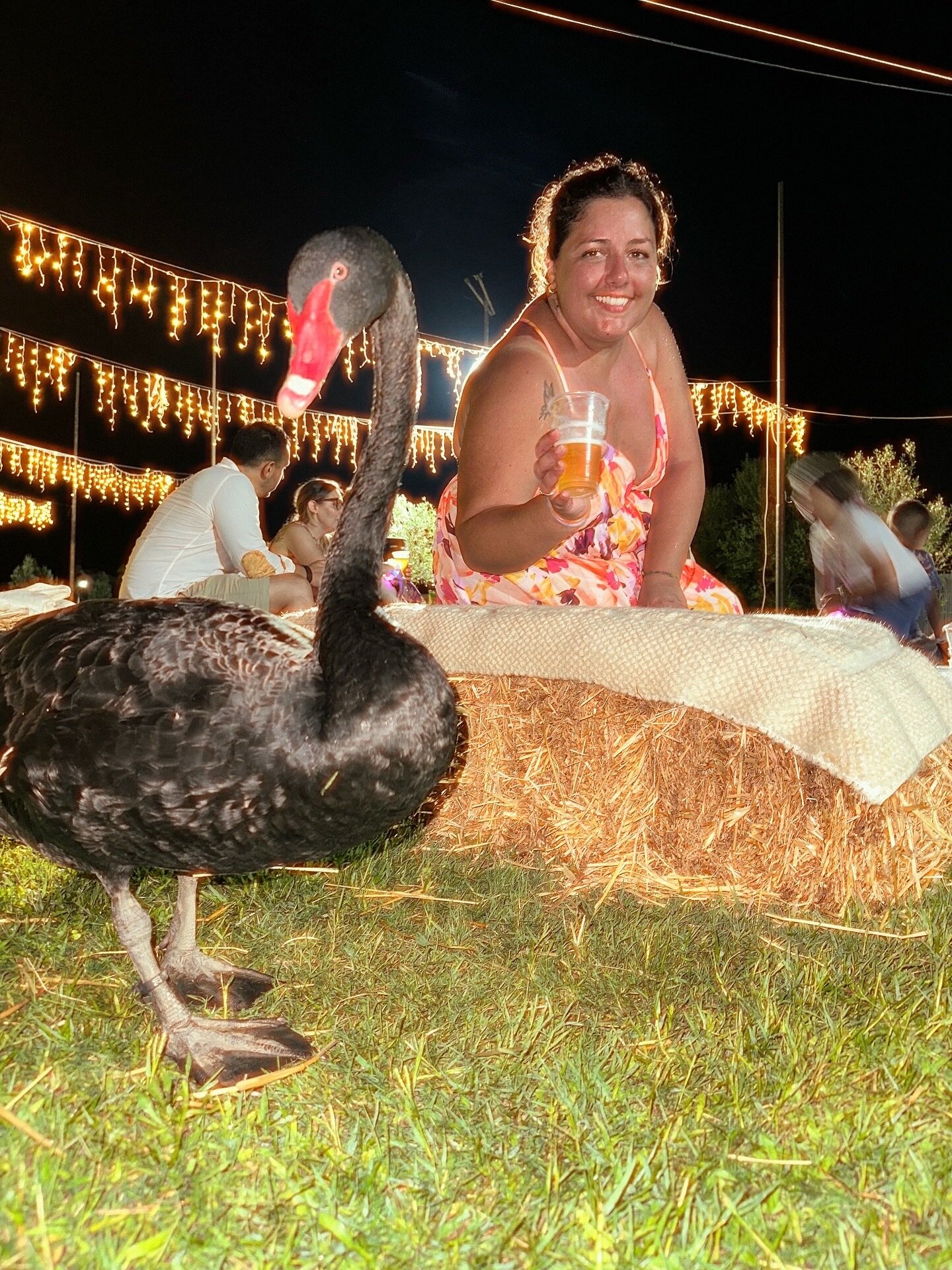 Img 69b655d6b45888 87130942