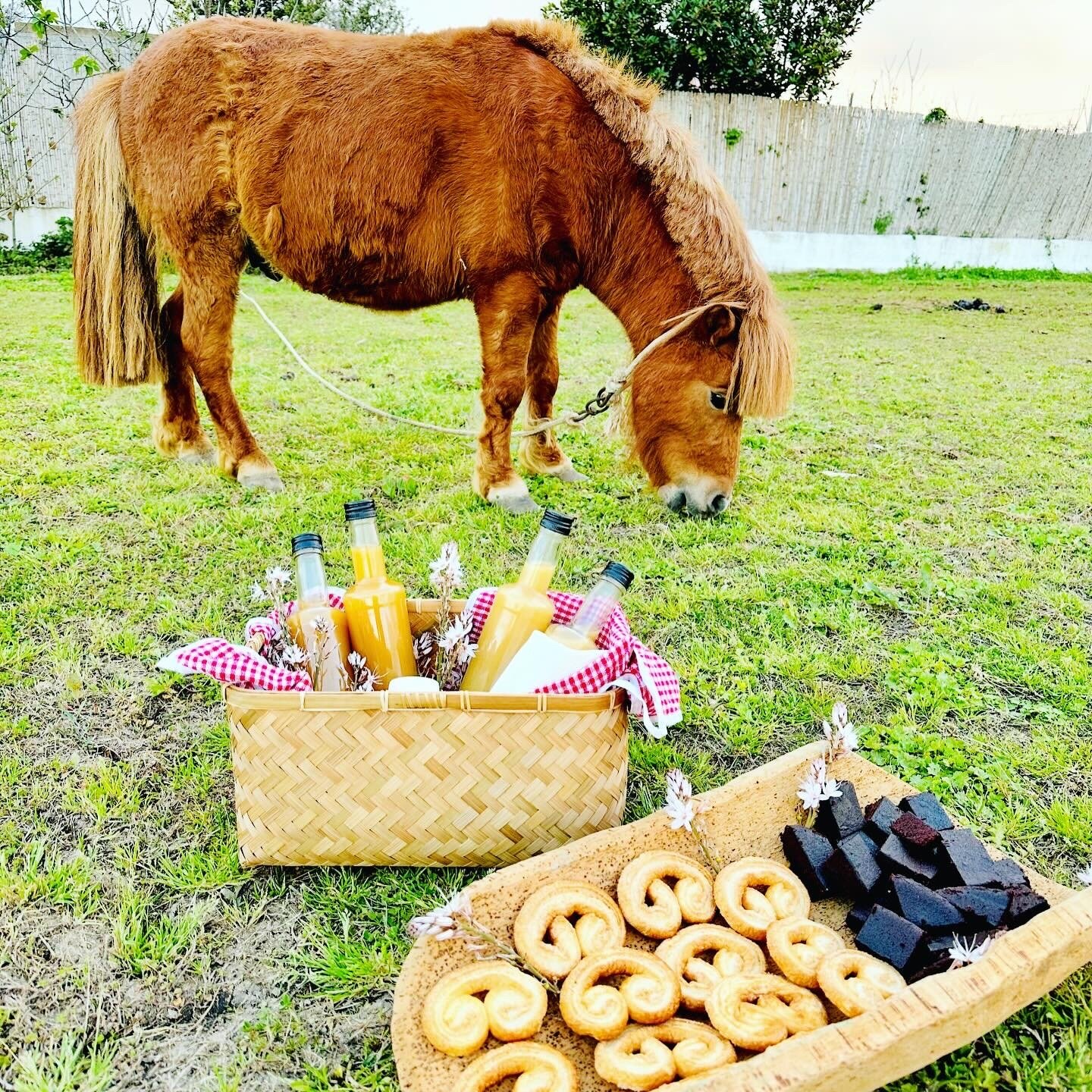 Img 69b655d6bf6564 74688904