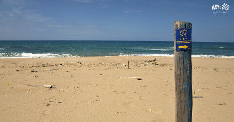 Il Cammino Minerario di Santa Barbara Lungo Costa