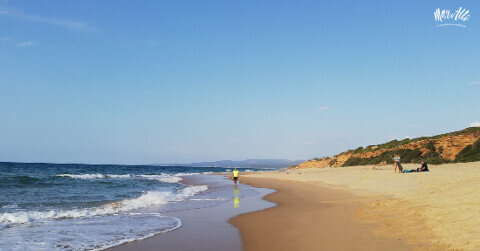 Img 6983820a464874 80567434