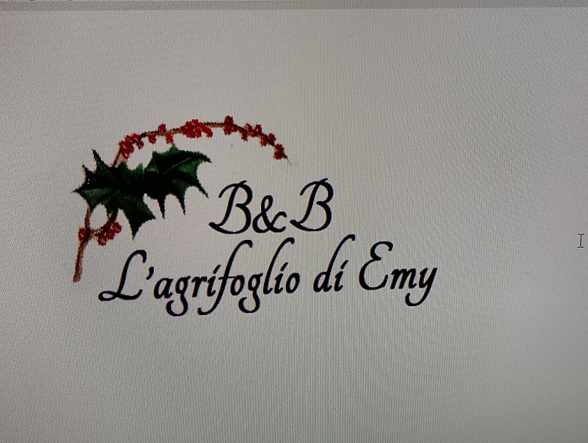 L'Agrifoglio di Emy